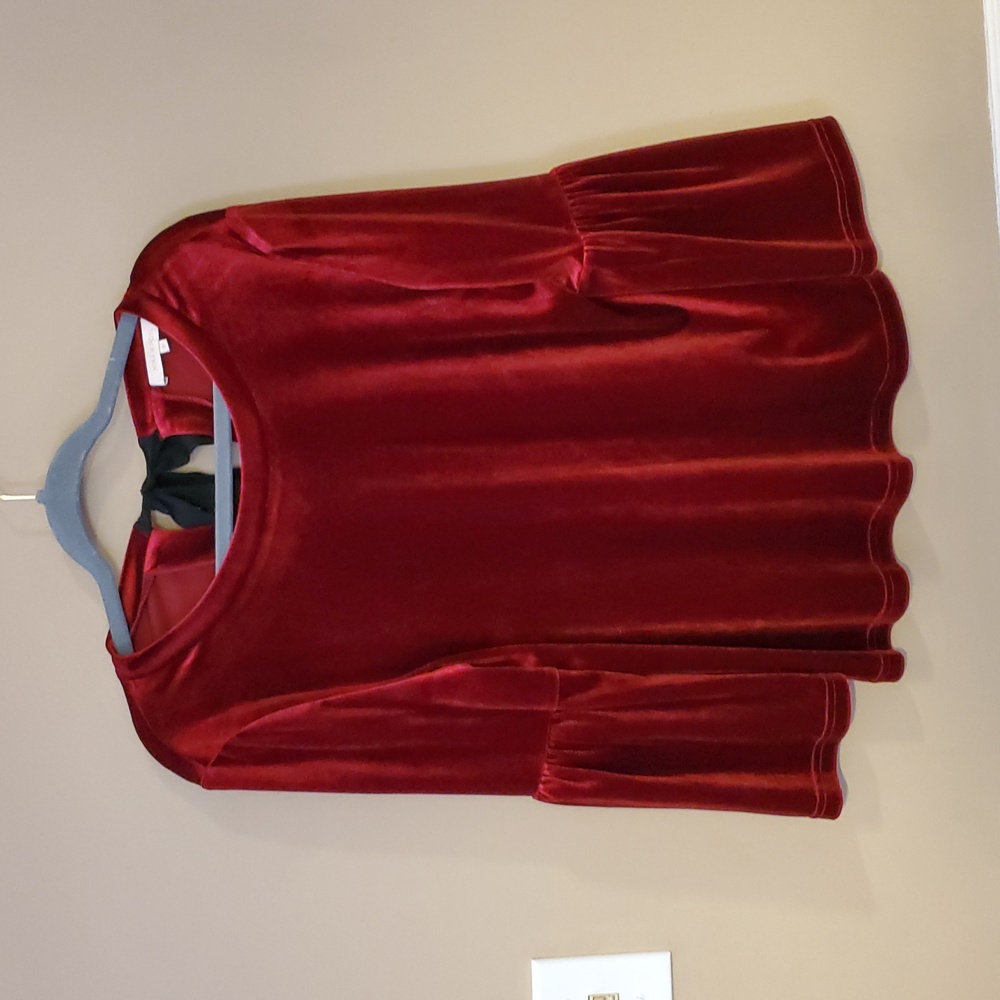 Mika Mindel Velvet Bell Sleeve Top In Cranberry Size M